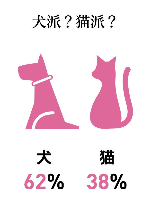 質問カード9：犬派？猫派？ 犬派62%猫派38%