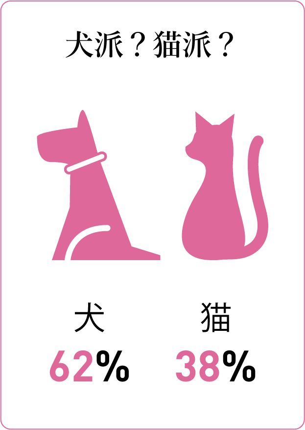 質問カード9：犬派？猫派？ 犬派62%猫派38%